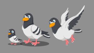 PIGEON BIRD CARTOON CHARACTER CJS4